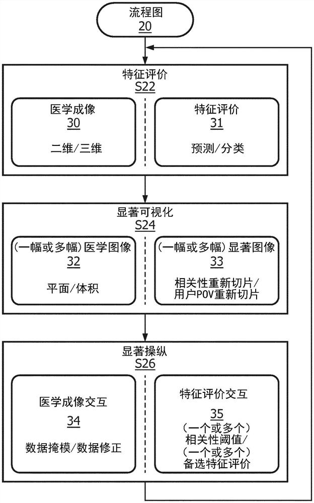 通过机器学习模型对特征评价的显著视觉解释