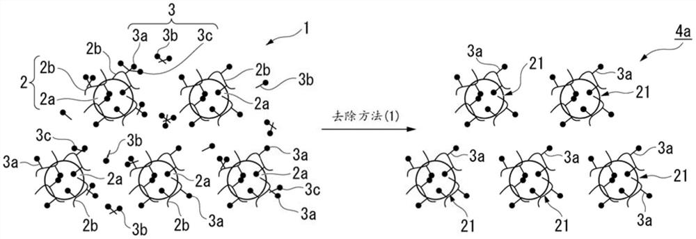 粉末的制造方法、熔融成型体的制造方法、粉末、压缩成型体及熔融成型体