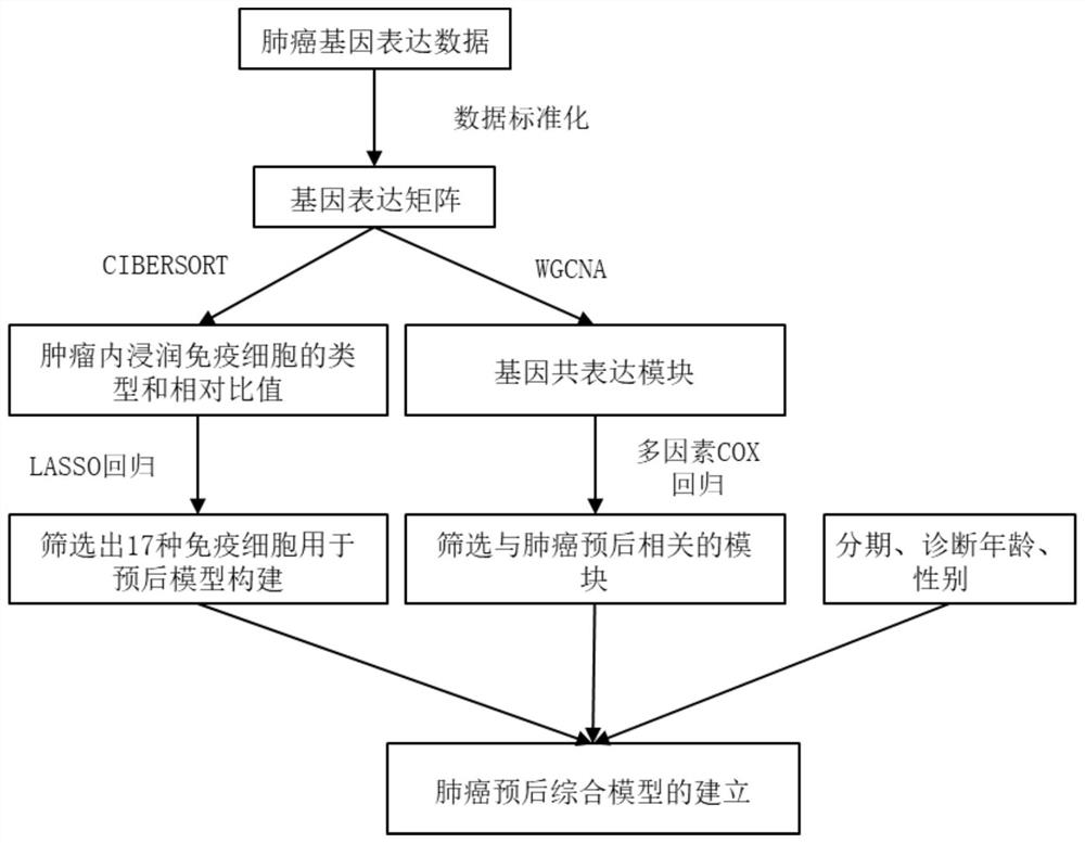 一种肺癌预后综合预测模型、构建方法及装置