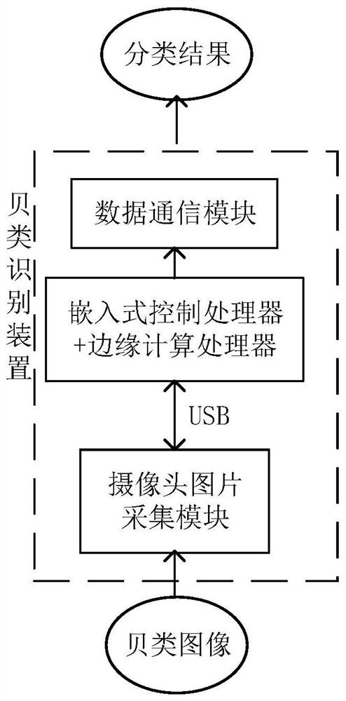 基于计算机视觉的贝类分类识别方法及装置