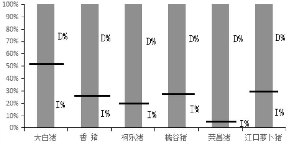 一种利用SMAD5基因中SV314分子标记区分中国地方猪品种与大白猪的检测技术