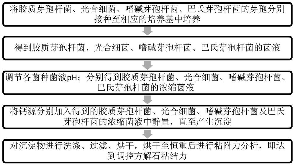 一种微生物诱导沉积方解石粘结力的调控方法