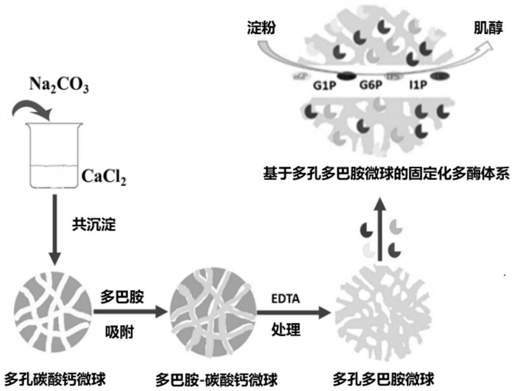 一种用于生产肌醇的固定化多酶体系以及生产肌醇的方法