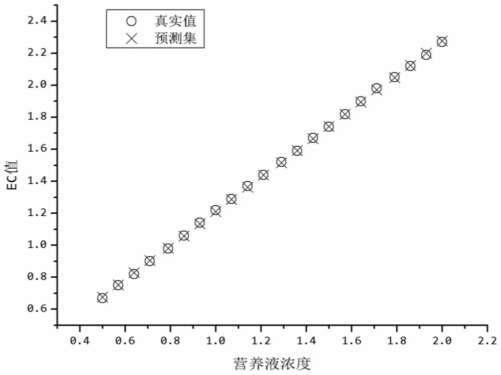 一种含甘氨酸的雾培生菜营养液、营养补充剂及配制方法