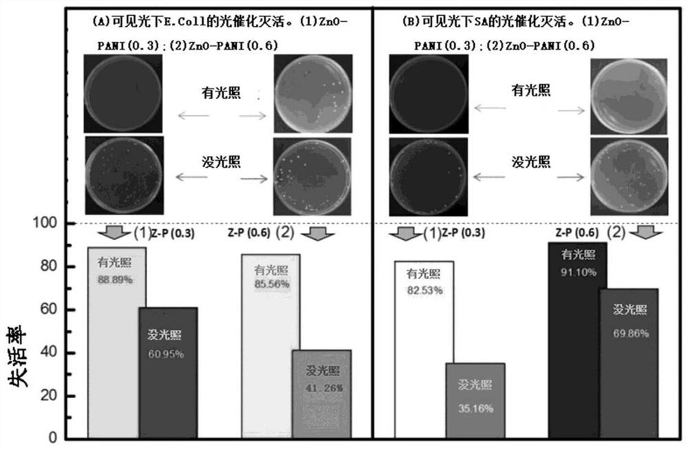 一种绒球状氧化锌-聚苯胺异质结构型的多功能光催化剂制备方法