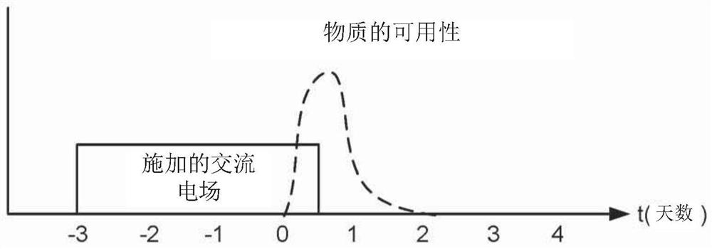 使用交变电场来提高血脑屏障的通透性