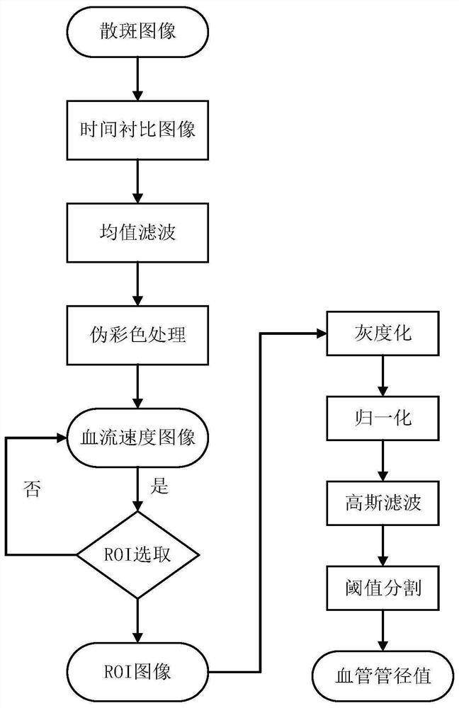 激光散斑血流成像方法及系统