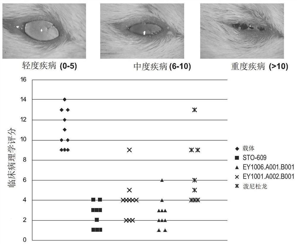 用于治疗眼部疾病的方法和药物成分