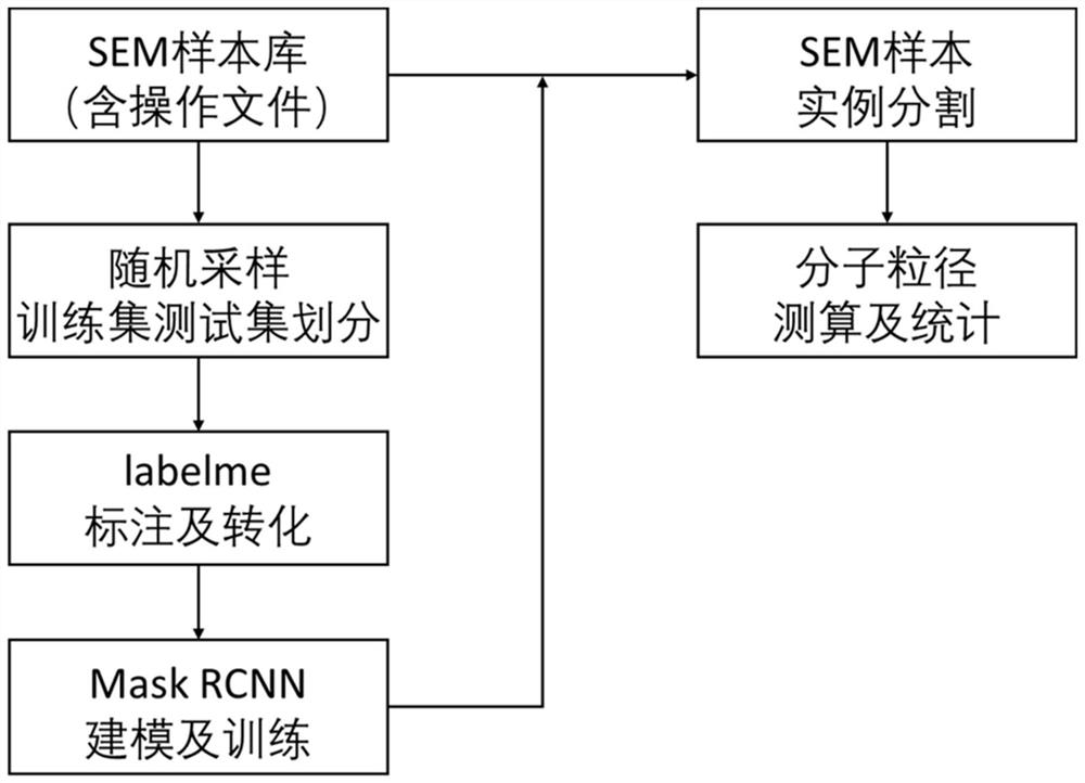 基于Mask RCNN实例分割的SEM图像分子筛粒径统计方法和系统