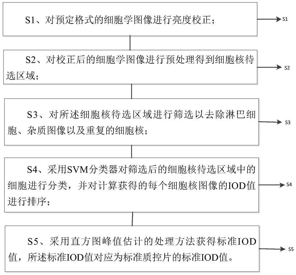 一种用于大尺寸细胞显微图像的DNA倍体分析方法