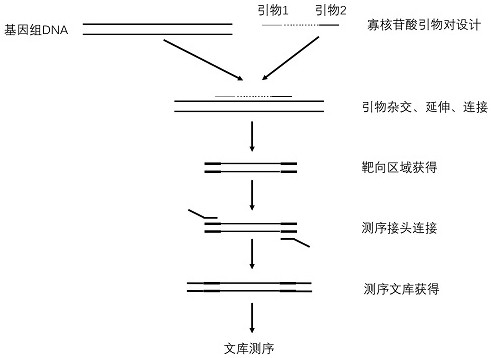 一种用于评估131I治疗分化型甲状腺癌效果的试剂盒