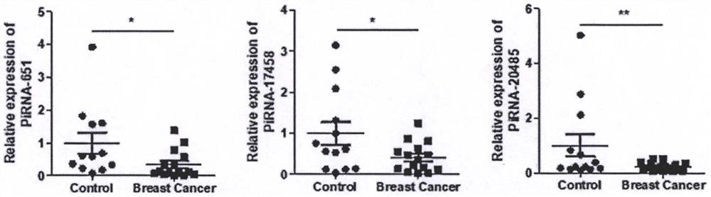 一组乳腺癌早期诊断的piRNA生物标志物及其应用
