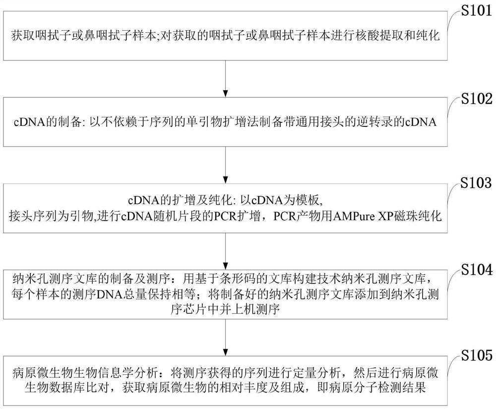 一种基于纳米孔测序的病原分子检测方法