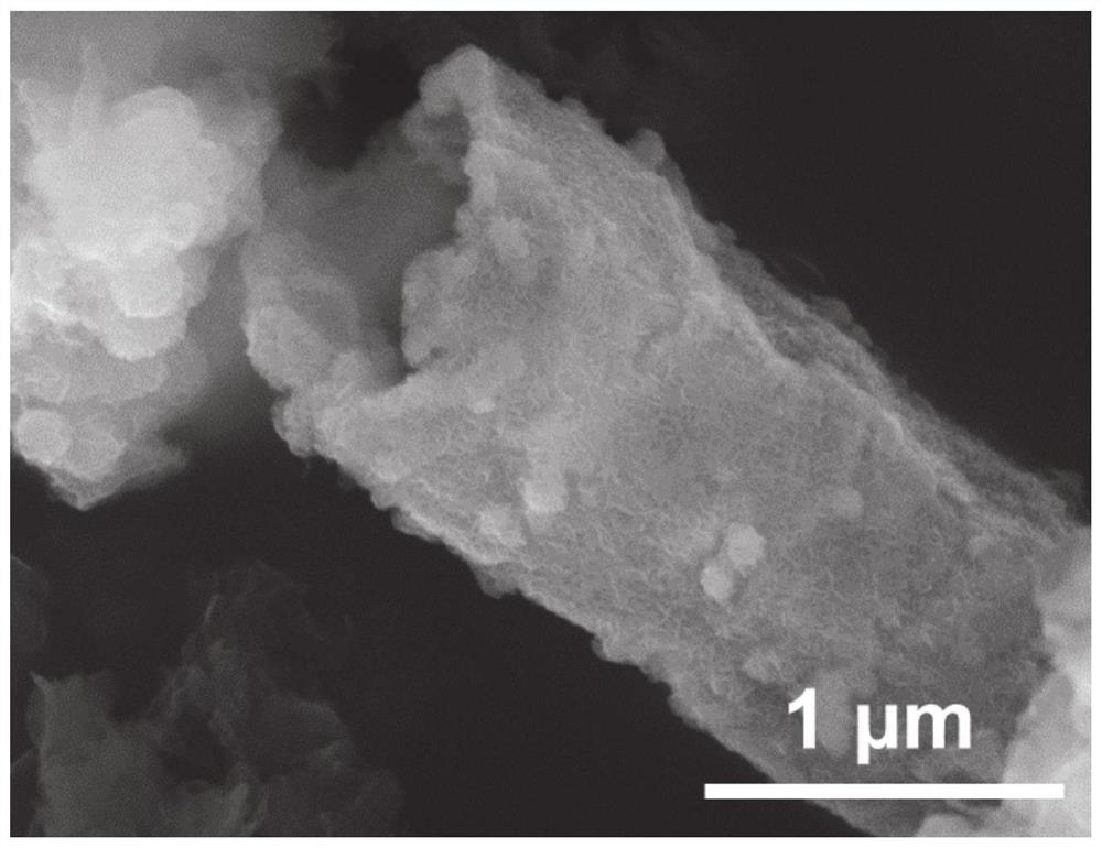 一种三硫化钼铼纳米片/石墨相氮化碳纳米管异质结构光催化剂及制备方法