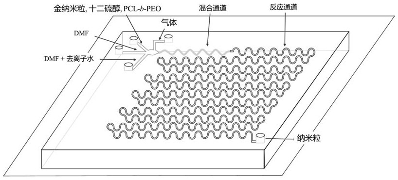 基于微流控芯片的嵌段共聚物PCL-b-PEO自组装包封金纳米粒的方法