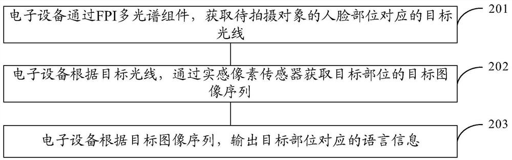 语言识别方法、装置及电子设备