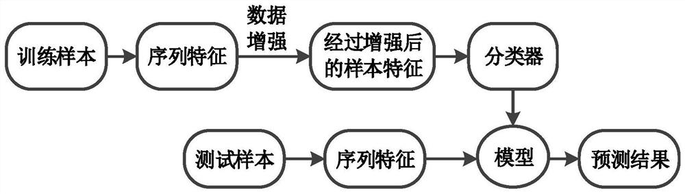 基于数据增强的RNA序列编码潜力预测方法及系统