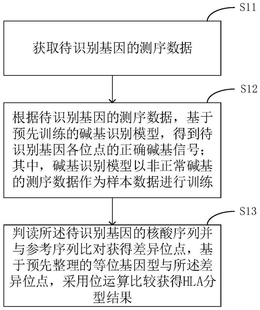 基于Sanger测序的HLA分型方法及设备