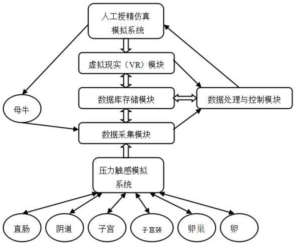 基于VR技术的母牛直肠检查和人工授精仿真模拟系统