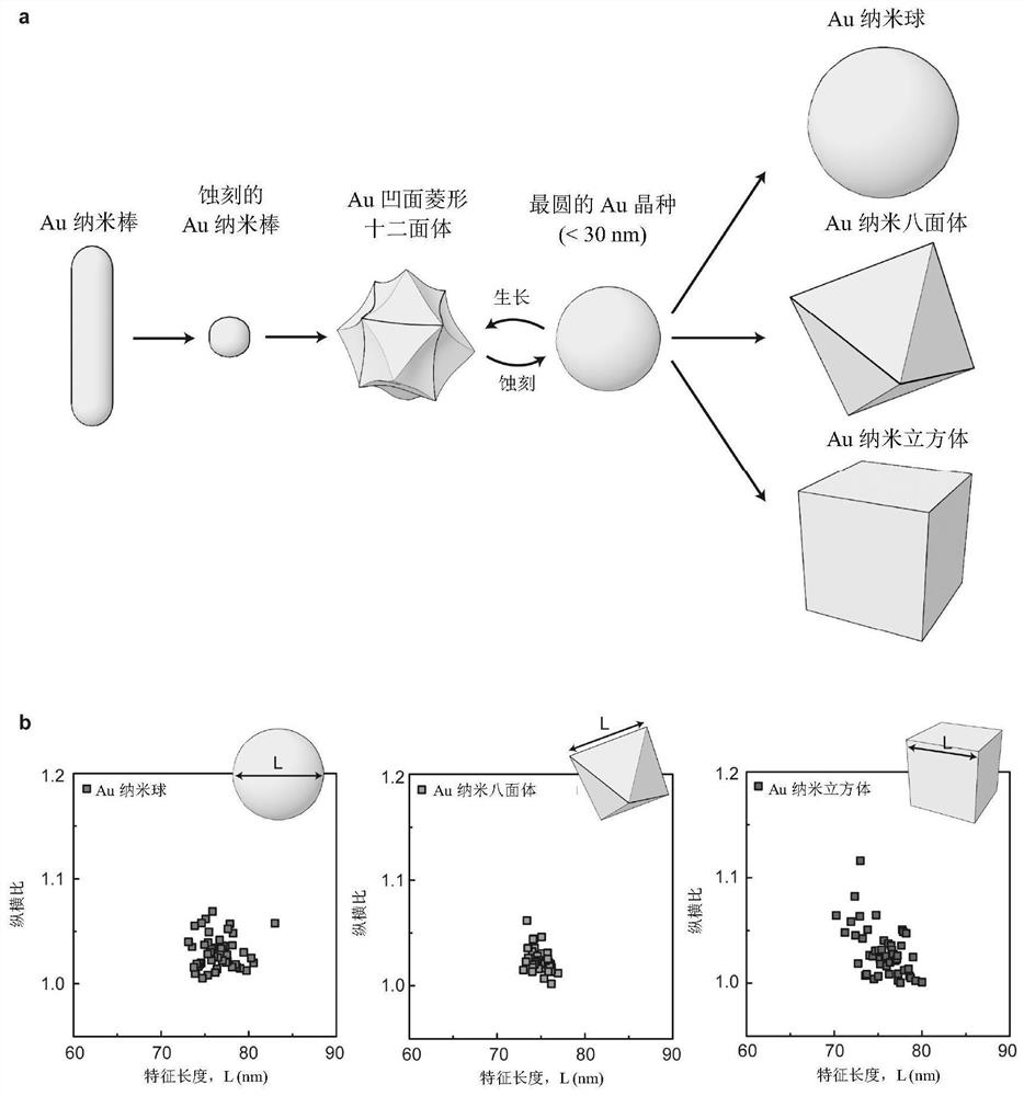 包含具有肽的金纳米颗粒的抗冻组合物