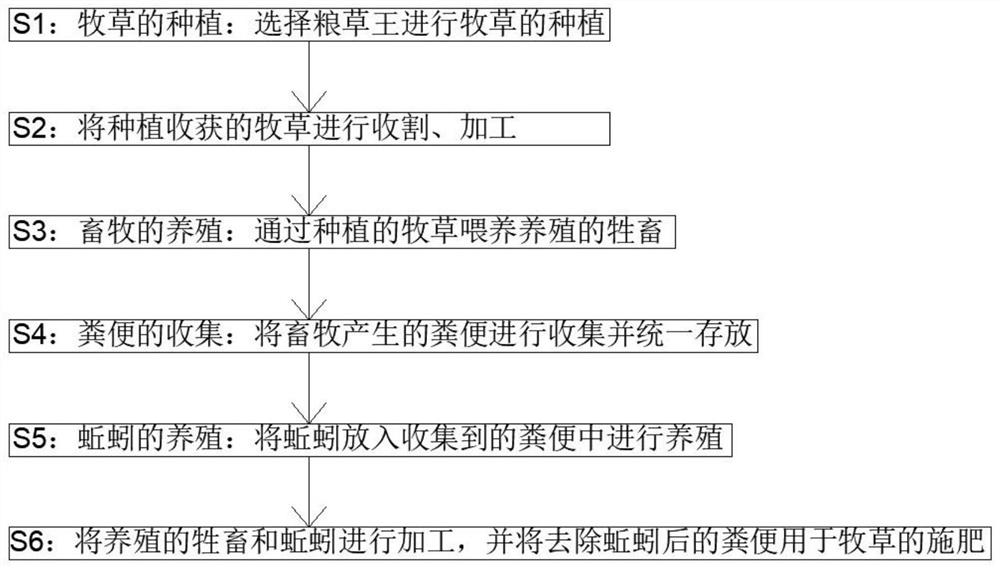 一种生态种养循环系统