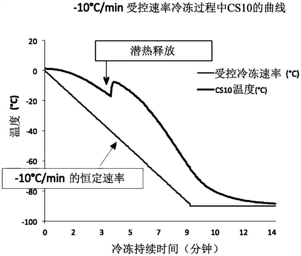 接种有细胞的基质的冷冻保存及相关方法