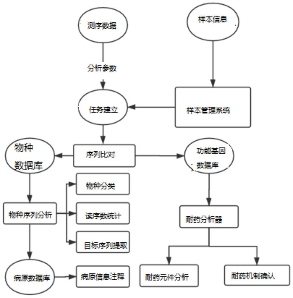 基于纳米孔测序的广谱病原微生物及耐药分析系统