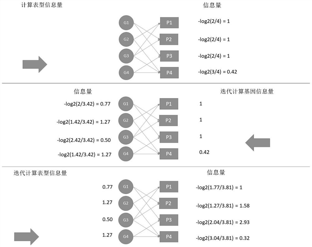 一种基因与表型关联知识库、构建方法及其应用