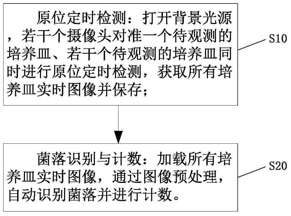 高通量多种类菌落计数方法