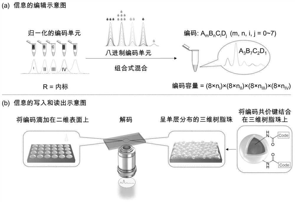 一种超容量信息编码系统及其应用