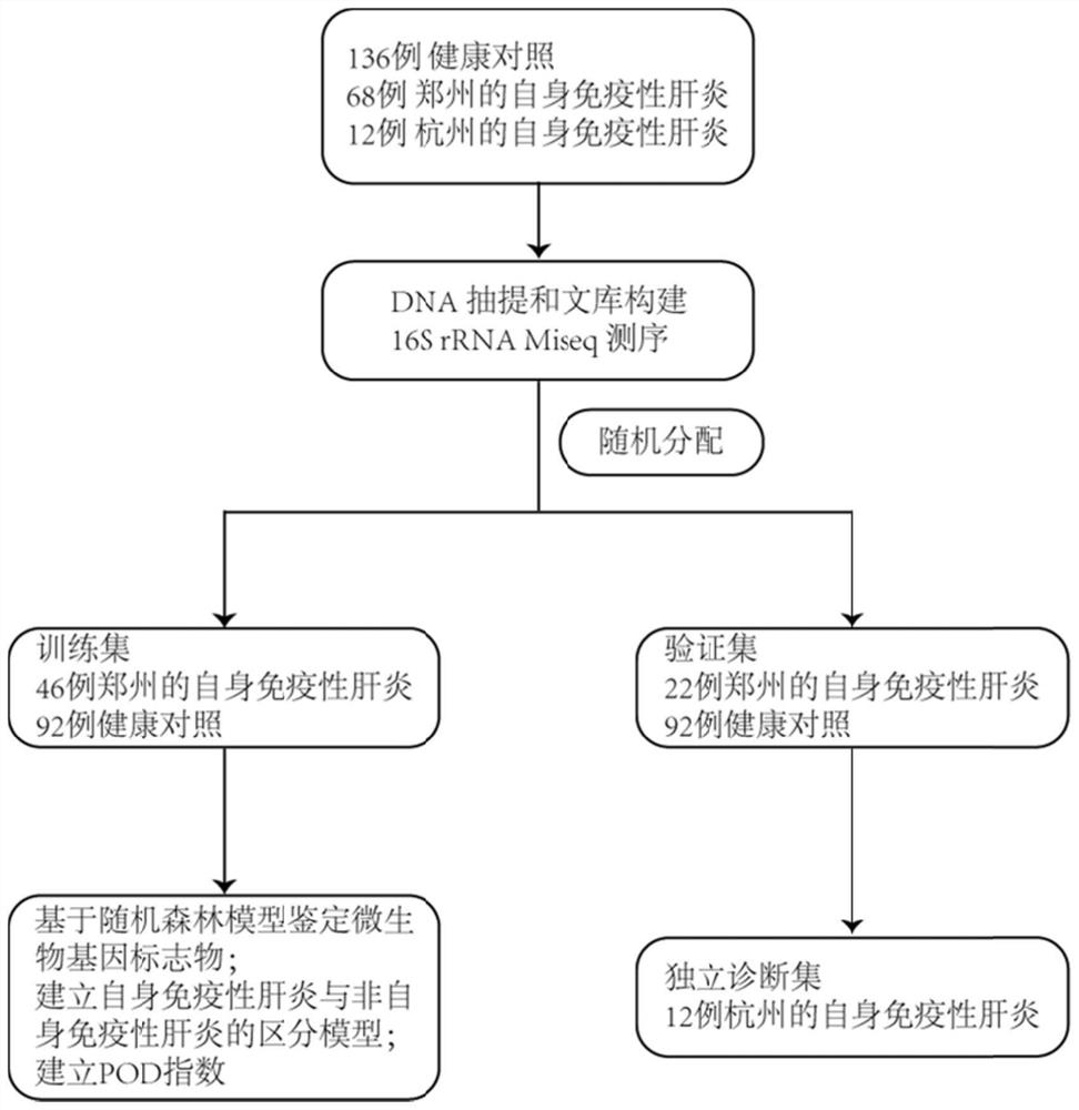 一种用于区别自身免疫性肝炎和健康人群的口腔微生物基因标志物及其应用