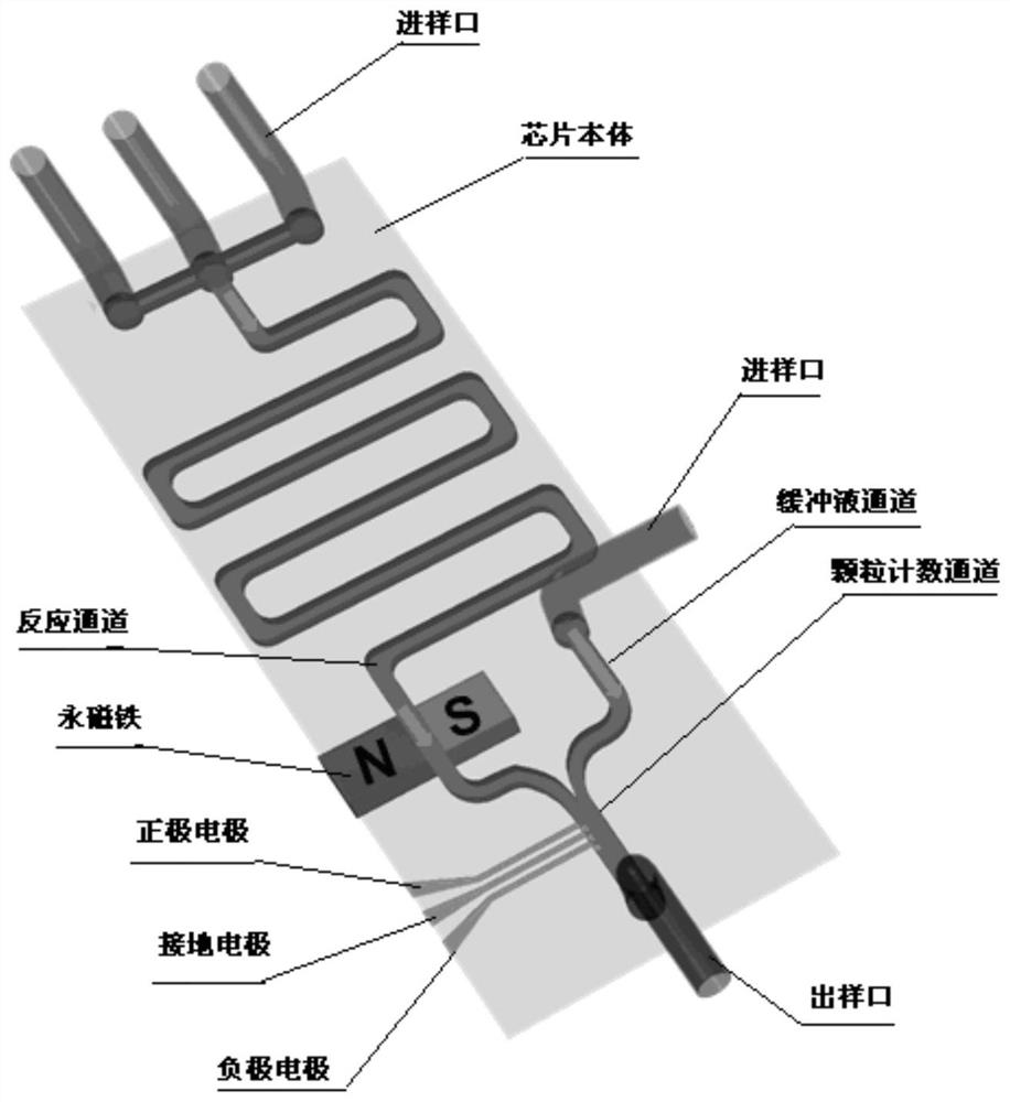 一种基于差分阻抗颗粒计数的免疫分析方法