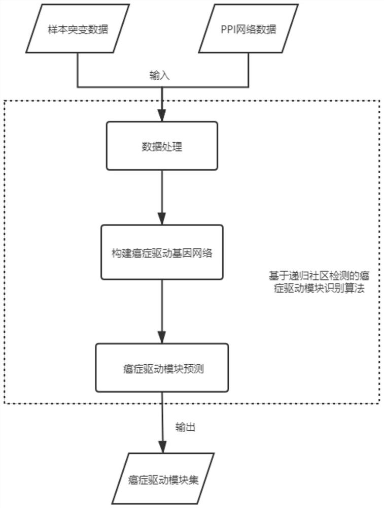 一种基于递归社区检测的癌症驱动模块预测方法