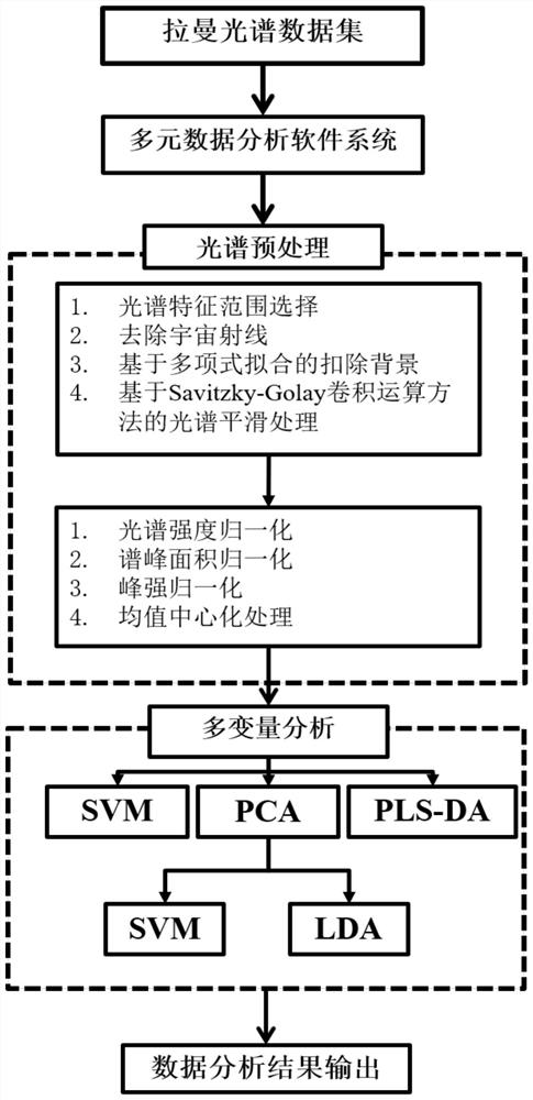 一种拉曼光谱多元数据分析方法