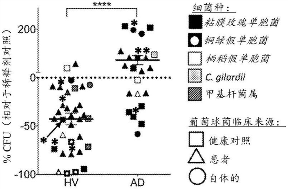 革兰氏阴性种治疗特应性皮炎的用途