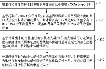 循环无细胞核小体活性区域的甲基化分析方法和装置、终端设备及存储介质