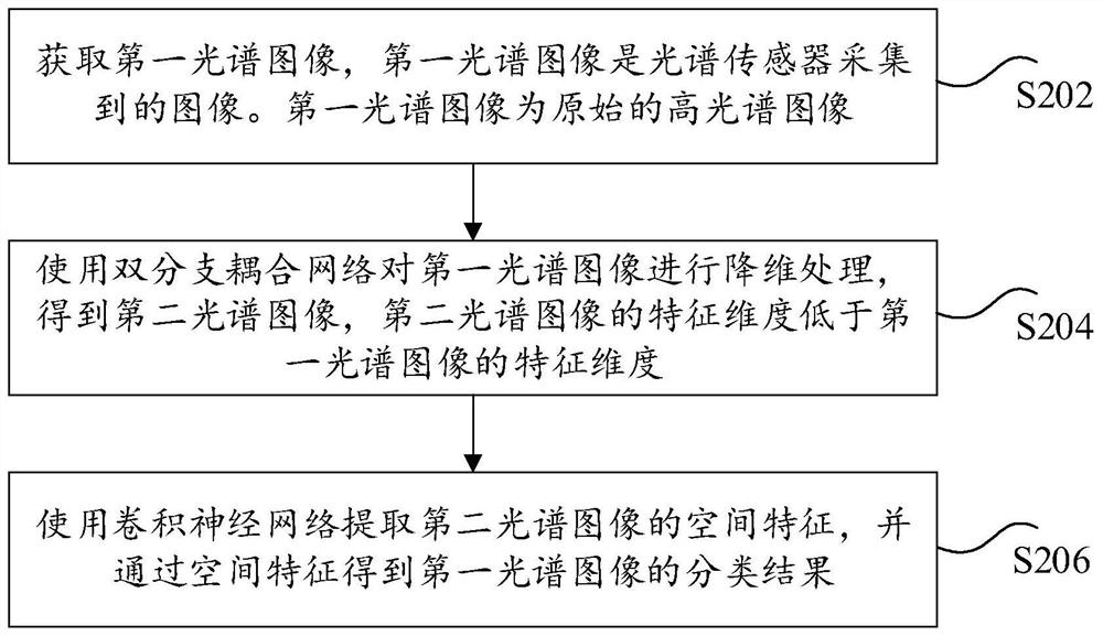 光谱图像的分类方法和装置、存储介质、电子装置