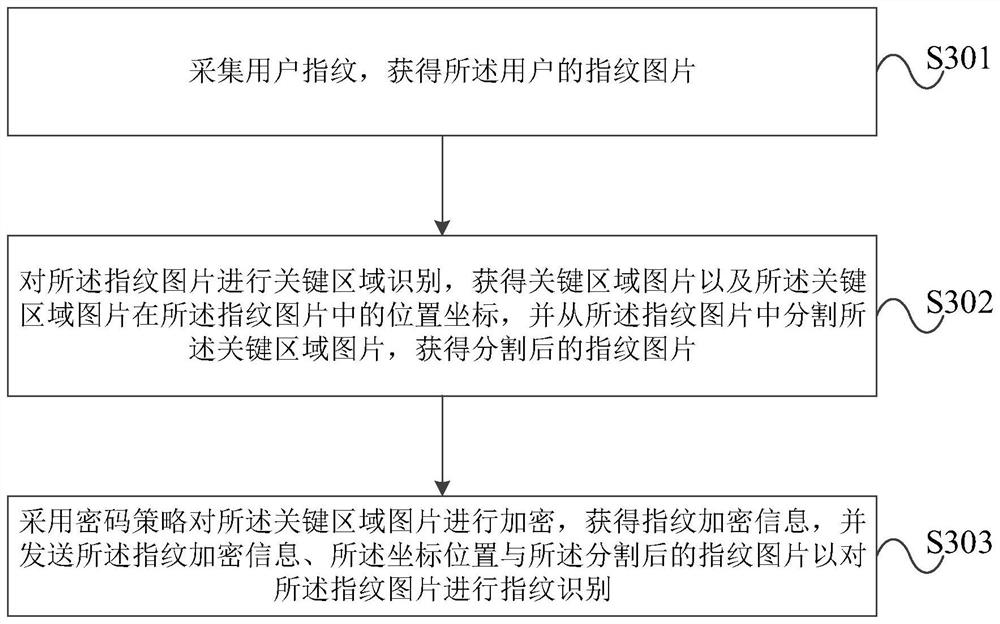 指纹识别方法及装置