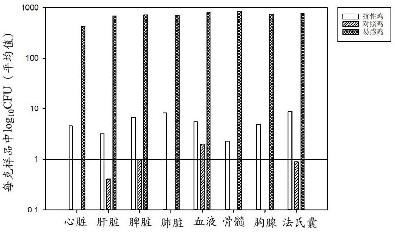 一种与抗禽致病性大肠杆菌相关的NLR信号通路及其应用