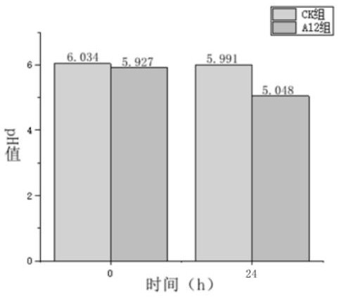 利用双歧杆菌特别是A12发酵制备醛类香料的方法及其应用