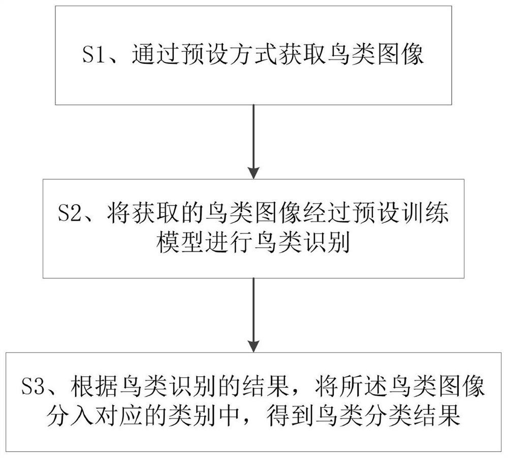 一种基于加权融合模型的鸟类分类方法及系统