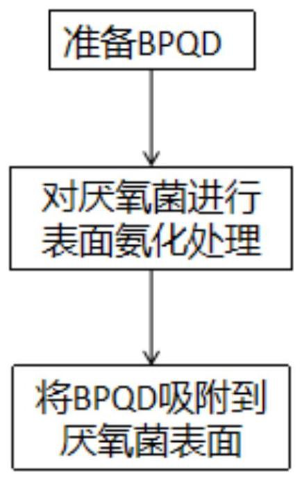 用于低剂量放射治疗的肿瘤靶向性载体及其制备方法和肿瘤靶向药物