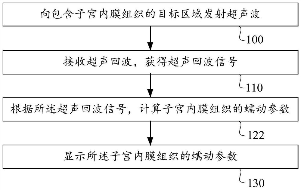 一种子宫蠕动的超声检测方法和超声成像装置