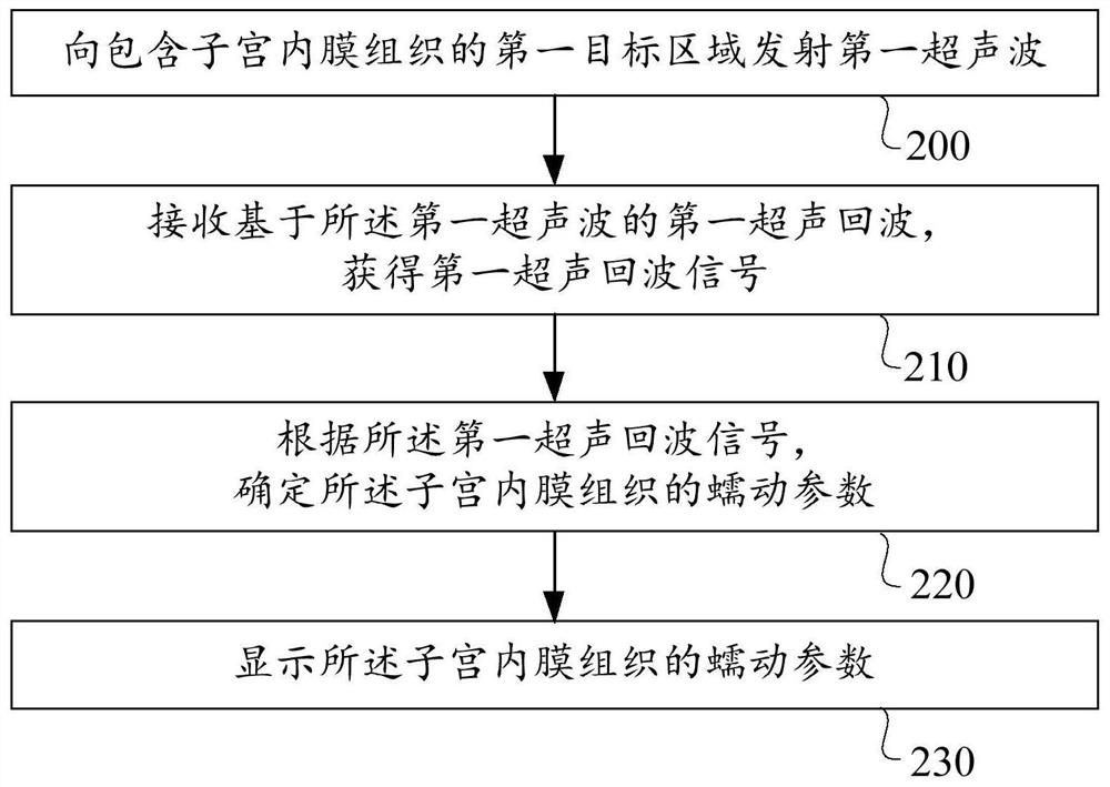 一种子宫内膜蠕动、组织蠕动的检测方法和超声成像系统