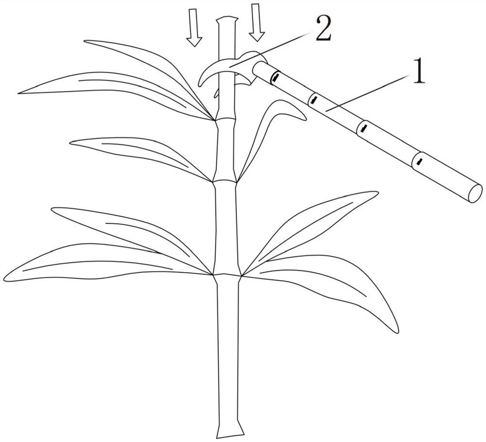 一种甘蔗选种工具及其应用方法