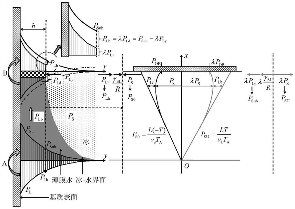 薄膜水压-吸单元模型的构建方法