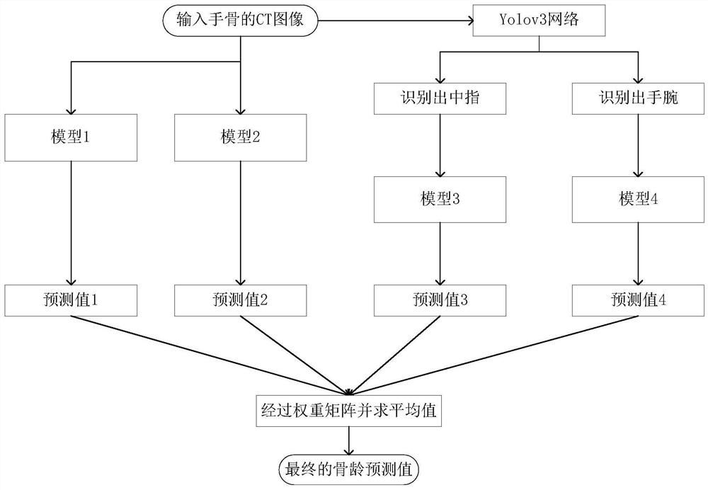 基于深度学习的多个异构模型相互组合的骨龄预测方法