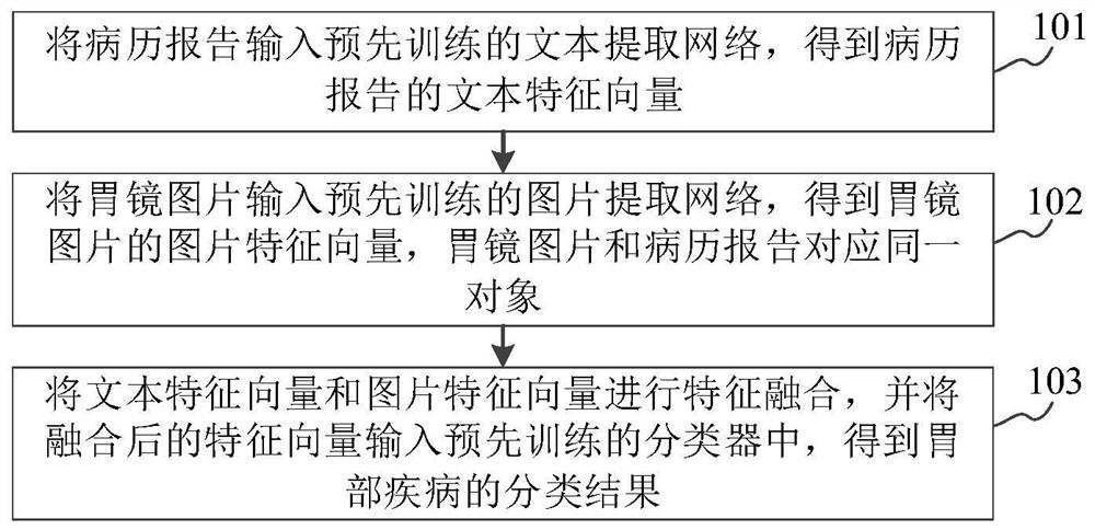 基于文本和图片的双模态胃部疾病分类方法及装置