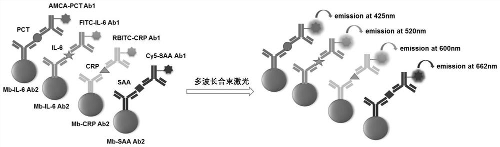 基于荧光免疫检测方法的多重生物标志物检测试剂盒