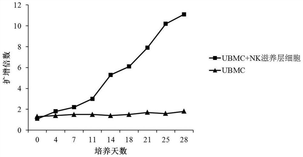 一种表达细胞因子组合物的NK滋养层细胞及其制备方法和应用